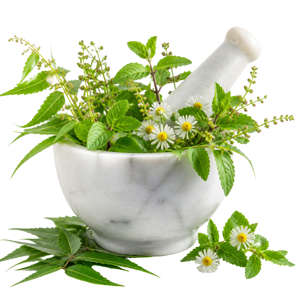 Marble mortar and pestle with fresh Ayurvedic herbs